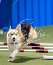 2025-June-Trial-1075