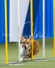 2025-June-Trial-1078