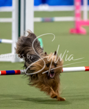 2025-June-Trial-1081