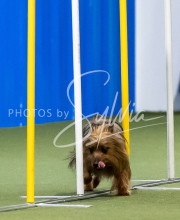 2025-June-Trial-1087