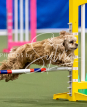 2025-June-Trial-1092