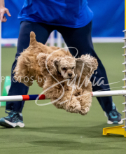 2025-June-Trial-1094