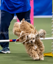 2025-June-Trial-1095