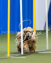 2025-June-Trial-1099