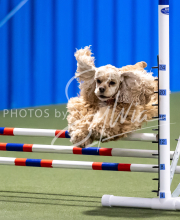 2025-June-Trial-1104