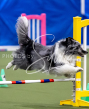 2025-June-Trial-1106