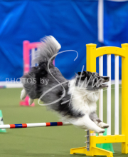 2025-June-Trial-1107