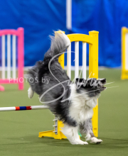 2025-June-Trial-1108