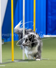 2025-June-Trial-1109