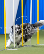 2025-June-Trial-1111