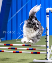 2025-June-Trial-1115