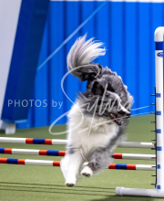 2025-June-Trial-1116