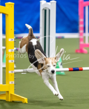 2025-June-Trial-1117