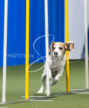 2025-June-Trial-1120