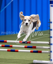 2025-June-Trial-1122