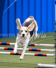 2025-June-Trial-1123