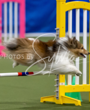 2025-June-Trial-1125