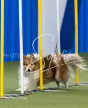 2025-June-Trial-1130