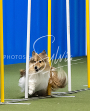 2025-June-Trial-1132