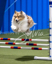 2025-June-Trial-1134