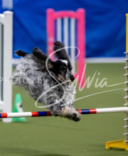 2025-June-Trial-1136