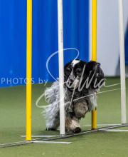 2025-June-Trial-1139