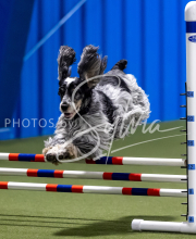 2025-June-Trial-1141