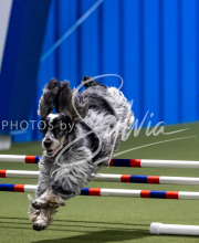 2025-June-Trial-1142