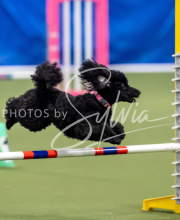 2025-June-Trial-1144