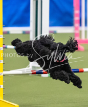 2025-June-Trial-1146