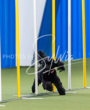 2025-June-Trial-1149