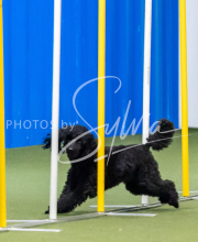 2025-June-Trial-1151