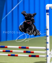 2025-June-Trial-1154