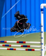 2025-June-Trial-1155