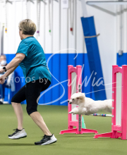 2025-June-Trial-1157