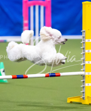 2025-June-Trial-1158