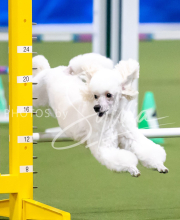 2025-June-Trial-1159