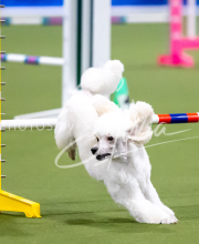 2025-June-Trial-1160