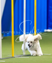 2025-June-Trial-1161