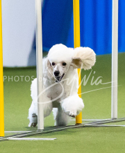 2025-June-Trial-1164