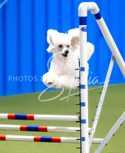 2025-June-Trial-1168