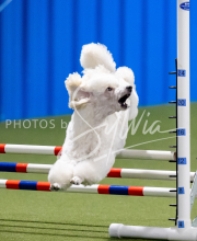 2025-June-Trial-1170