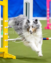 2025-June-Trial-1171