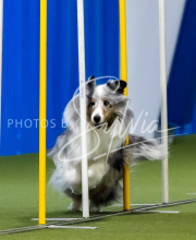 2025-June-Trial-1176