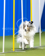 2025-June-Trial-1177