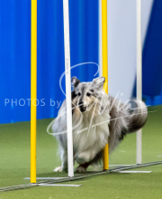 2025-June-Trial-1188