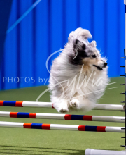 2025-June-Trial-1189