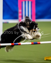 2025-June-Trial-1190