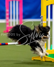 2025-June-Trial-1192