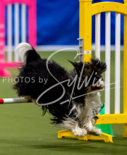 2025-June-Trial-1194